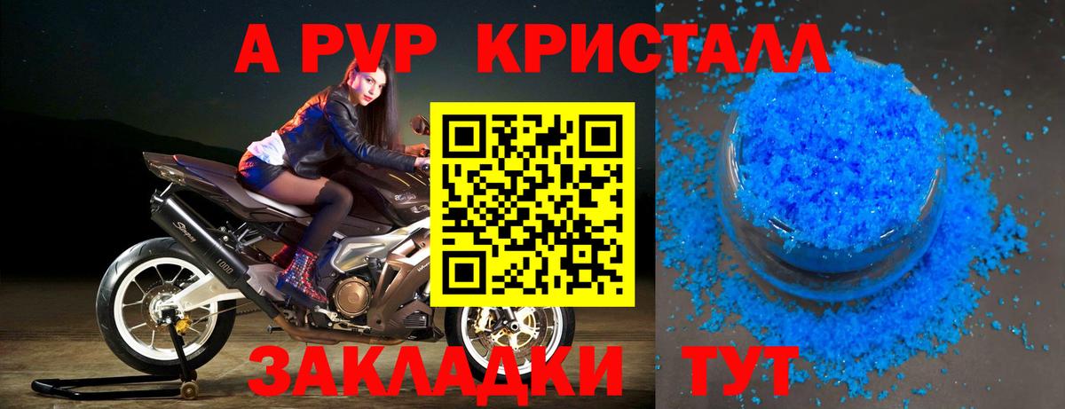 Alfa_PVP СК КРИС Киселёвск