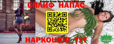 метадон Бийск