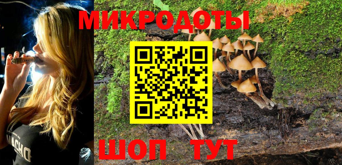 Псилоцибиновые грибы мицелий Киселёвск